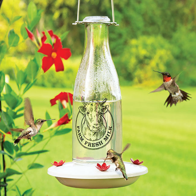 Audubon Milkhouse Vintage Glass Hummingbird Feeder image number null