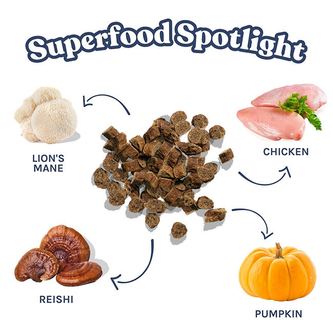 HealthyBud Mini Training Treats - Chicken Recipe - 6.5 oz image number null