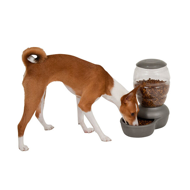 Petmate Replendish Pet Feeder with Microban - Pearl Silver Gray image number null
