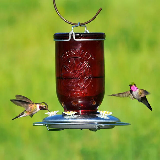Perky-Pet Red Mason Jar Hummingbird Feeder image number null