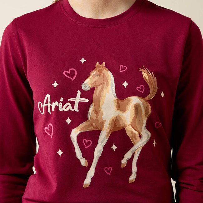 Ariat Kids' Painted Dream T-Shirt - Beet Red image number null