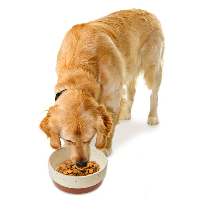 Spot Sedona Dog Dish - Chestnut Brown - 7" image number null