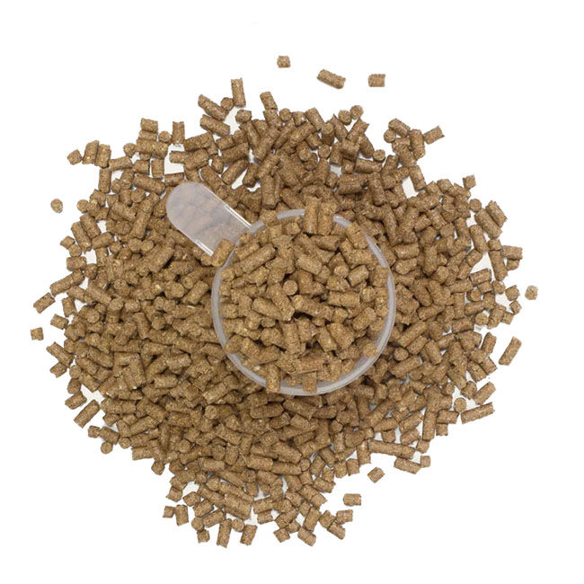 Kombat Boots Natural Yeast Pellets for Horses - 20 lb image number null