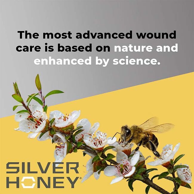 Absorbine Silver Honey Medicated Shampoo image number null