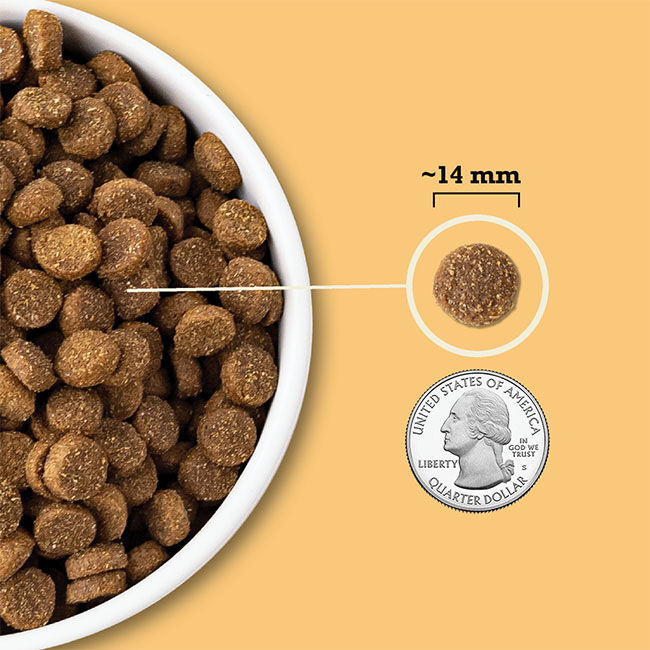 ACANA Wholesome Grains Dog Food - Free-Run Poultry & Grains Recipe image number null