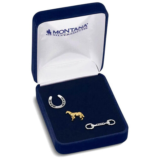 Montana Silversmiths AQHA Enjoy the Ride Pins - Set of 3 image number null
