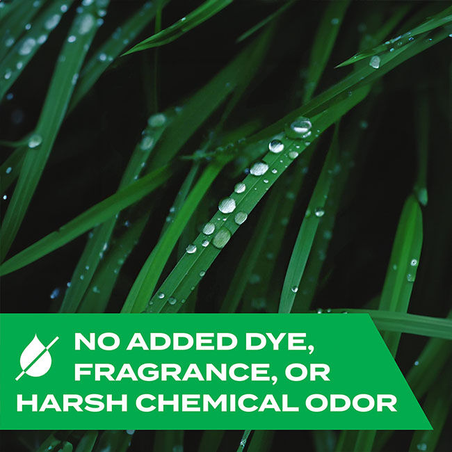 STEM Kills Wasps, Hornets & Yellow Jackets - 10 oz image number null