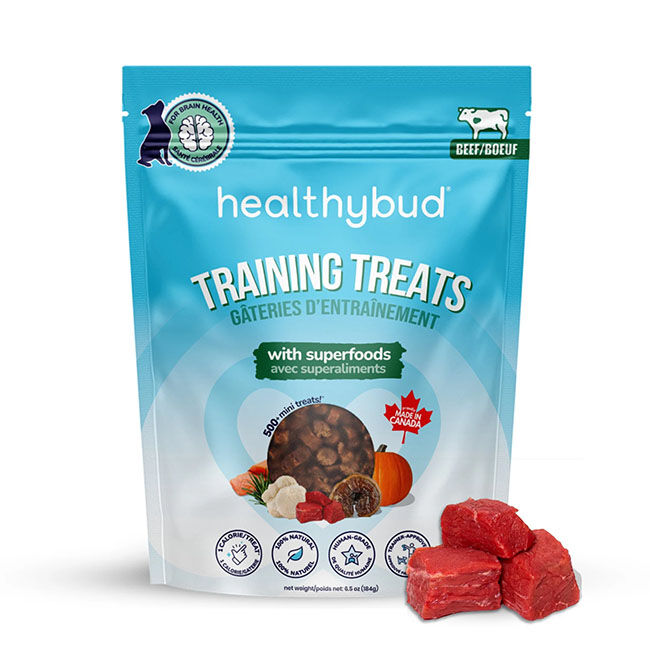 HealthyBud Mini Training Treats - Beef Recipe - 6.5 oz image number null