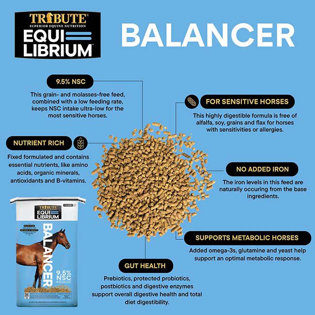 Tribute Equi-Librium Balancer - 50 lb image number null