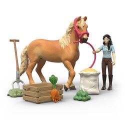 Schleich Emily's Care Set