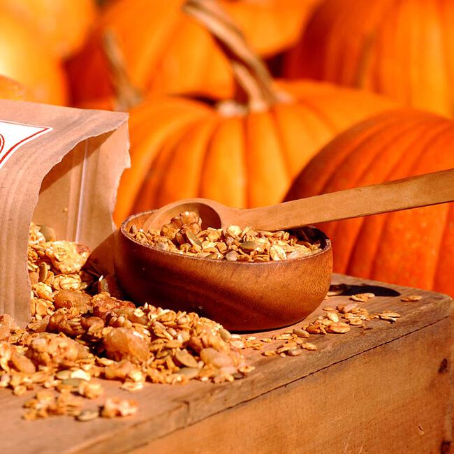 Maple Nut Kitchen Granola - Pumpkin Gingerbread - 10 oz image number null