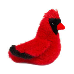 Douglas Carmine the Cardinal