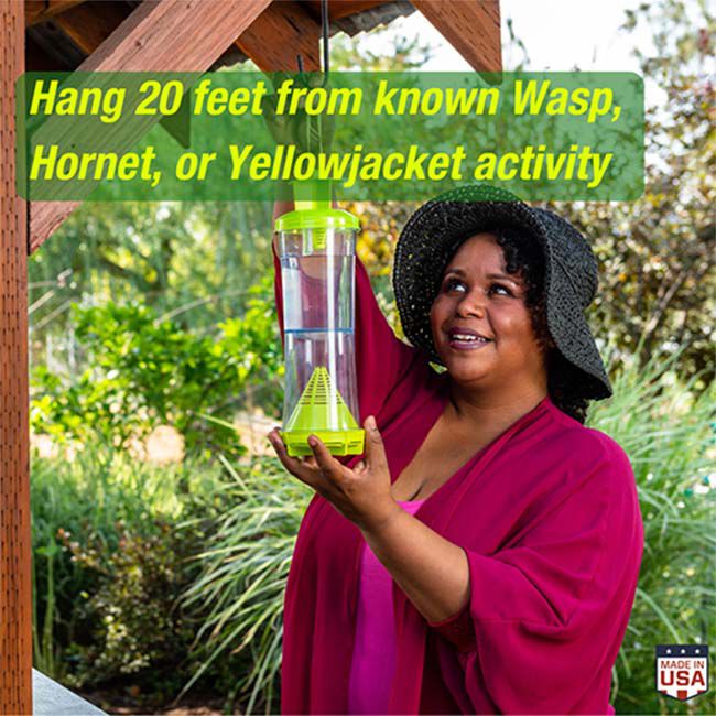 RESCUE! W-H-Y Trap for Wasps, Hornets & Yellowjackets image number null