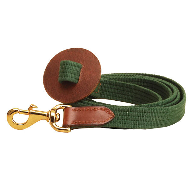 Tory Leather Cotton Web & Leather Lead image number null