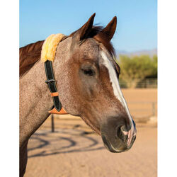 Professional's Choice Schutz Brothers Dare Cribbing Control Collar