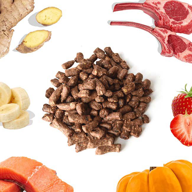 HealthyBud Meal Bites Freeze-Dried Raw Dog Food - Lamb & Salmon Recipe image number null