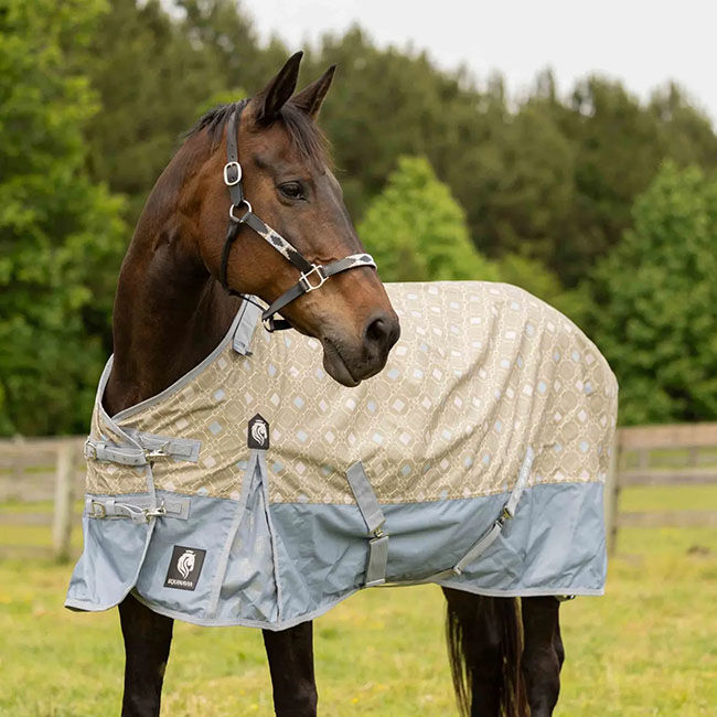 Equinavia Norse Fleece-Lined Turnout Sheet - Slate Grey/Light Olive image number null