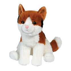 Douglas Patches the Calico Cat