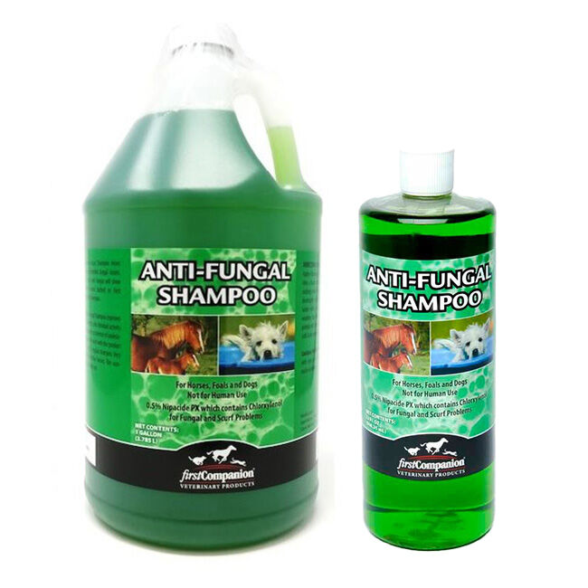 First Companion Veterinary Anti-Fungal Shampoo image number null