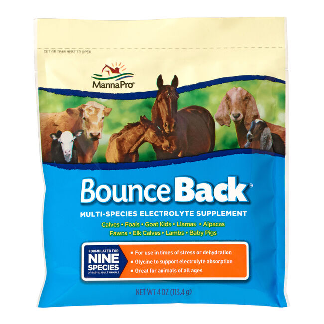 Manna Pro Bounce Back Multi-Species Electrolyte Supplement image number null