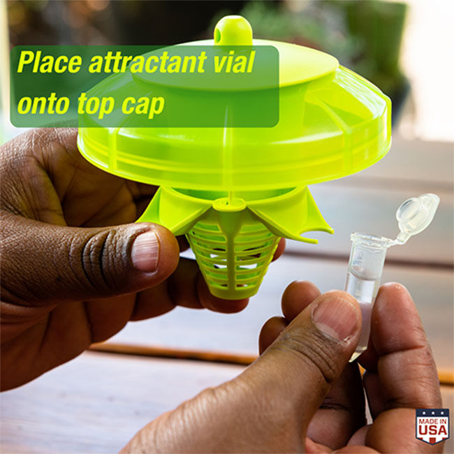 RESCUE! W-H-Y Trap for Wasps, Hornets & Yellowjackets image number null