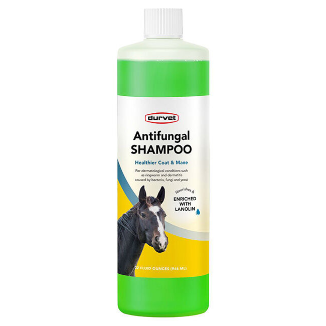 Durvet Antifungal Shampoo for Horses - 32 oz image number null