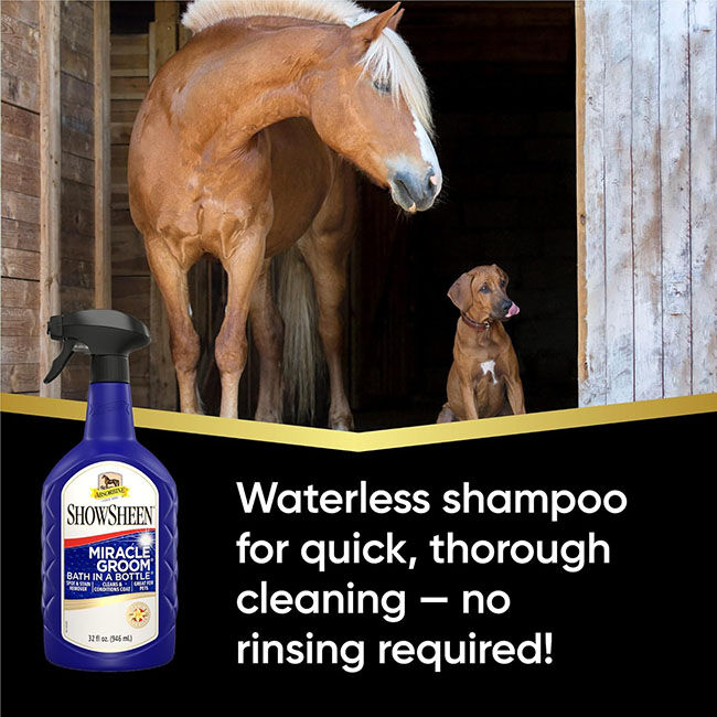 Absorbine ShowSheen Miracle Groom image number null