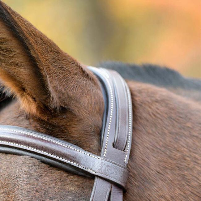 Shires Avignon Nashville Bridle image number null