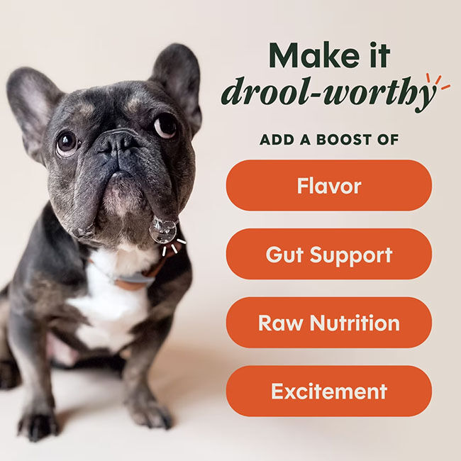Instinct Raw Boost Shakers for Dogs - Gut Health Recipe - 5.5 oz image number null