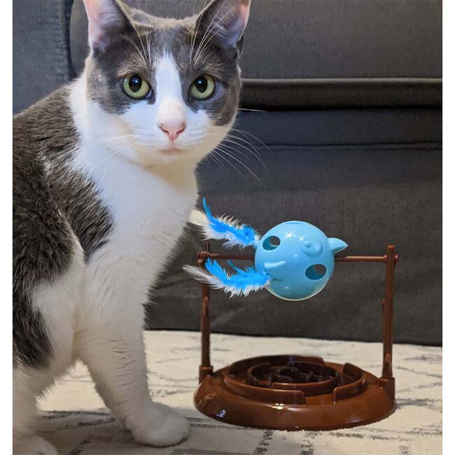 Doc & Phoebe's Twirly Bird Cat Feeder image number null