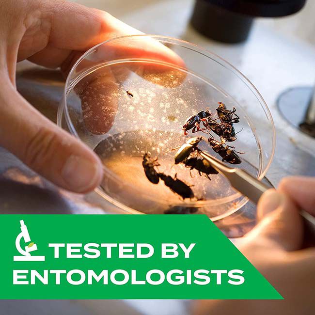 STEM Kills Wasps, Hornets & Yellow Jackets - 10 oz image number null