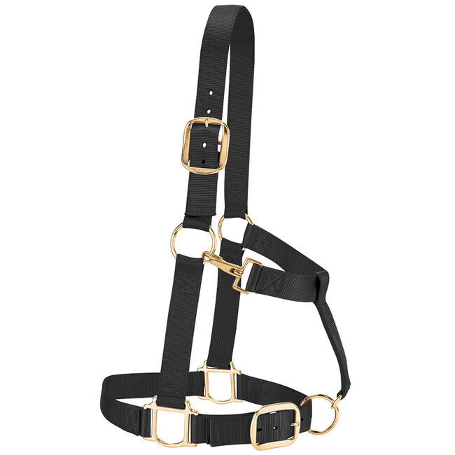 Weaver Equine Adjustable Nylon Draft Halter image number null