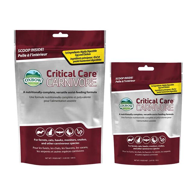 Oxbow Animal Health Critical Care Carnivore image number null