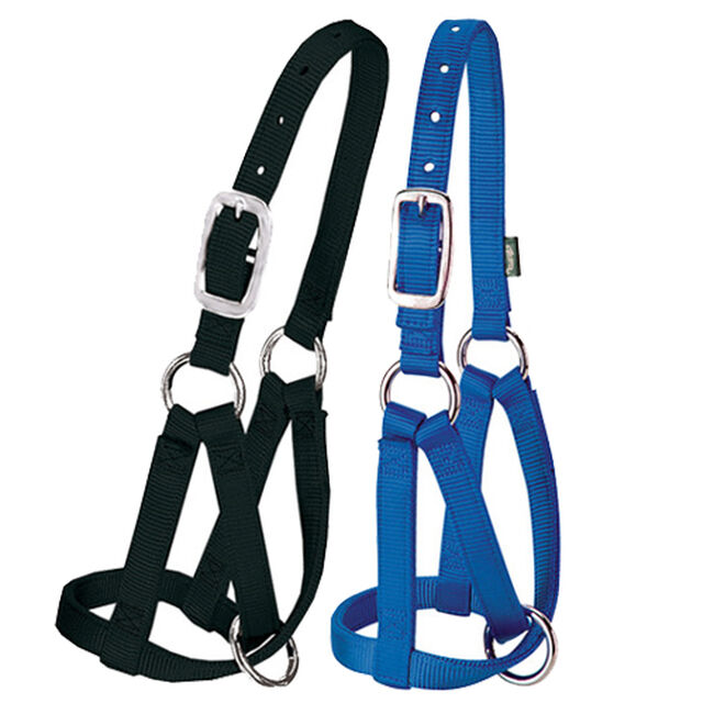 Weaver Llama Halter image number null