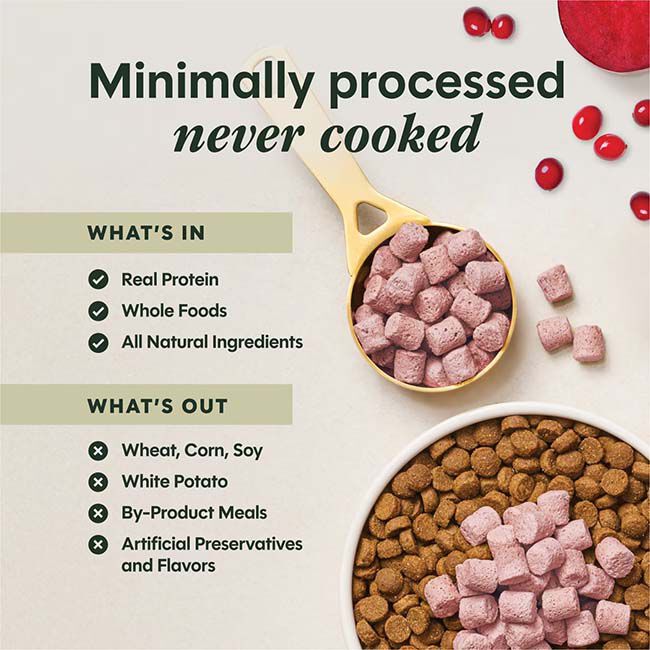 Instinct Raw Boost Mixers for Dogs - Skin & Coat Health Recipe image number null