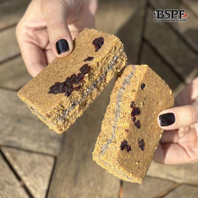 Hungrybird Energy Plus Protein Filled Energy Cake - Suet with Cranberry Filling - 12 oz image number null