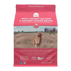 Open Farm Dog Food - Wild-Caught Salmon & Ancient Grains Recipe