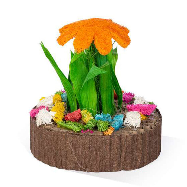 Prevue Pet Succulent Mini Garden - Assorted Colors image number null