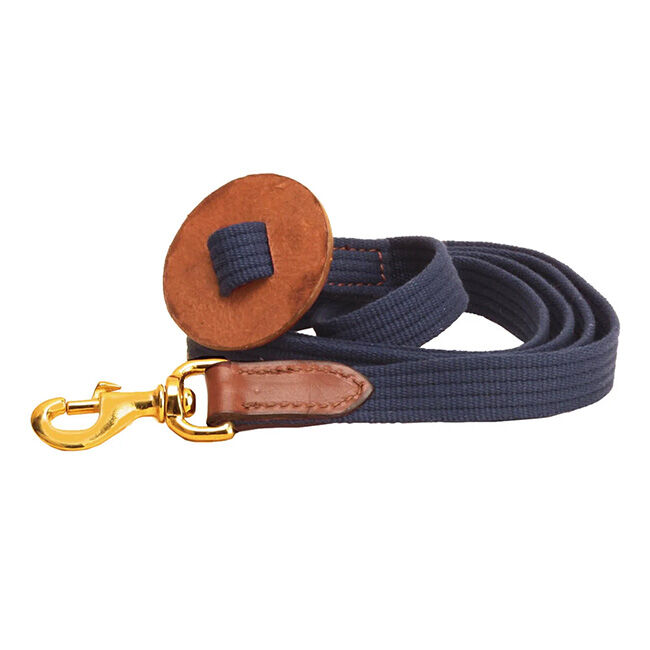 Tory Leather Cotton Web & Leather Lead image number null
