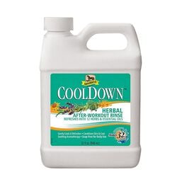 Absorbine CoolDown - Herbal After-Workout Rinse - 32 oz