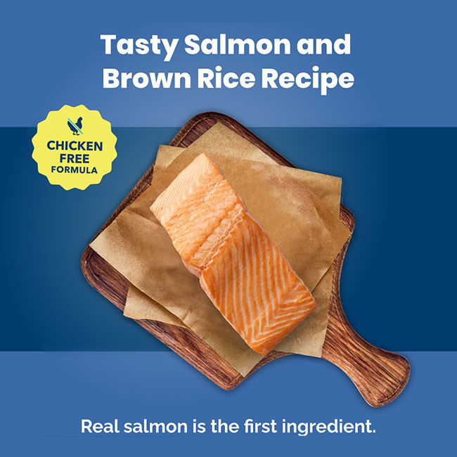Blue Buffalo Life Protection Formula Healthy Weight Dog Food - Salmon & Brown Rice Recipe image number null