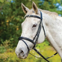 Shires Avignon Louisville Bridle