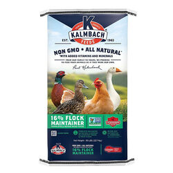 Kalmbach Feeds 16% Flock Maintainer - Non-GMO Pellet - 50 lb