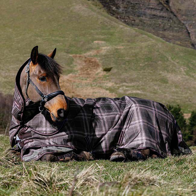 LeMieux Arika Turnout Blanket (200g) - Cocoa Check image number null