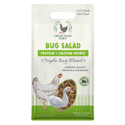 Fresh Eggs Daily Bug Salad Triple Bug Blend Poultry Treats - 10 lb