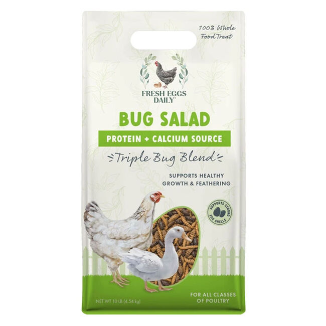 Fresh Eggs Daily Bug Salad Triple Bug Blend Poultry Treats - 10 lb image number null