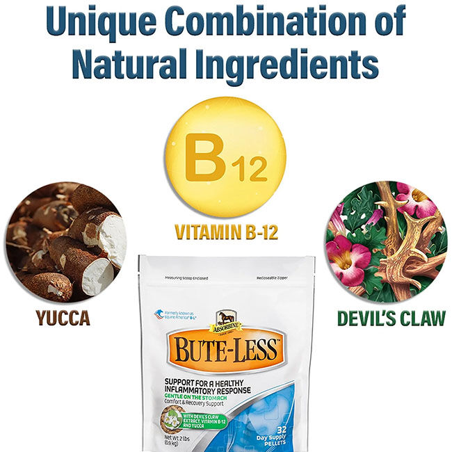 Absorbine Bute-Less Comfort & Recovery Supplement Pellets image number null