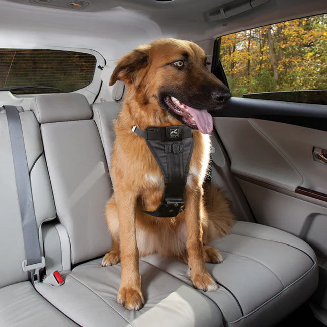 Kurgo Enhanced Strength Tru-Fit Dog Car Harness - Black image number null