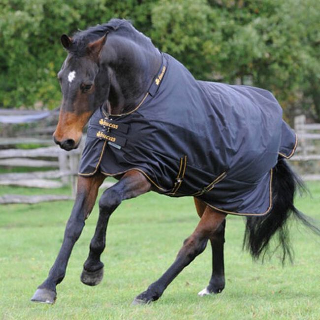 Bucas Irish Light Turnout image number null