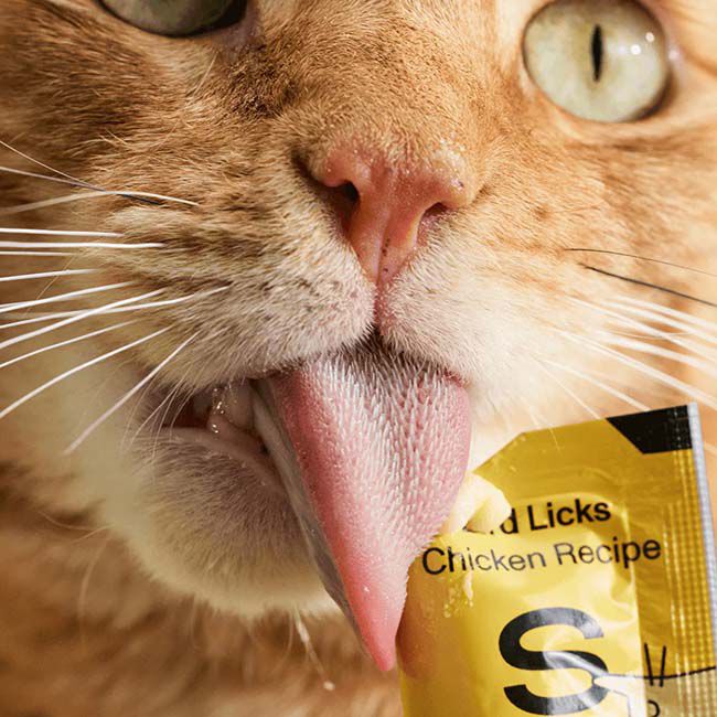 Smalls Licks Cat Treats - Bird Licks - Chicken Recipe - 8-Pack image number null